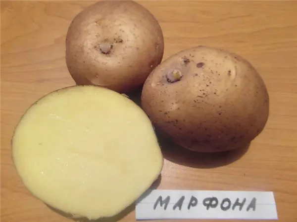 сорта рассыпчатого картофеля с желтой мякотью