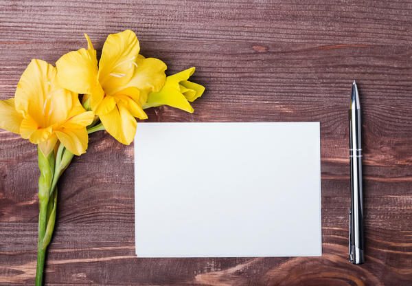 yellow-flower-empty-paper-sheet-and-pen